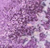 Amethyst/Lilac