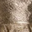 Antique Bronze