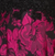 Black/Fuschia