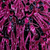 Black Fushia