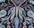 Black Powder Blue