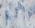 Blue/White Rose