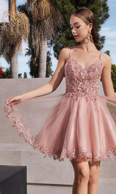 Short Homecoming Dress CD0213 with Embroidery Blush / 2XSmall Short Homecoming Dress CD0213 with Embroidery Blush / 2XSmall