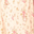 Cream White Floral