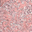 Crystal Pink Silver