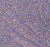 Dark Nude/Periwinkle/Lilac