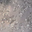 Deep Silver