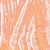 Dreamsicle/Ivory