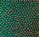 Emerald/Multi