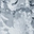 Floral Charcoal