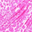 Fuchsia/Leopard Print