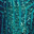 Iridescent Teal
