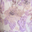 Ivory/Lilac