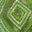 Lime/Green