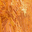 Orange Crush
