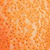 Orange/Nude