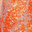 Orange/Silver