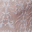 Pale Petal
