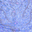 Periwinkle/Electric Orchid