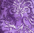 Pink/Lilac