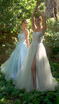Butterfly Sheer-Bodice Prom Ball Gown A1141