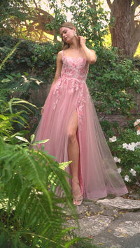 Butterfly Sheer-Bodice Prom Ball Gown A1141