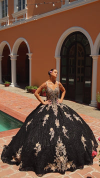 Quinceanera Dress 54301 By Amarra