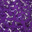 Purple/Lilac