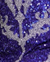 Purple/Silver