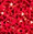 Red/Silver