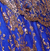 Royal Blue/Gold