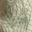 Silver/Sage