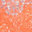 Tangerine/Silver