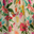 Tropical Floral