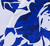 White/Royal