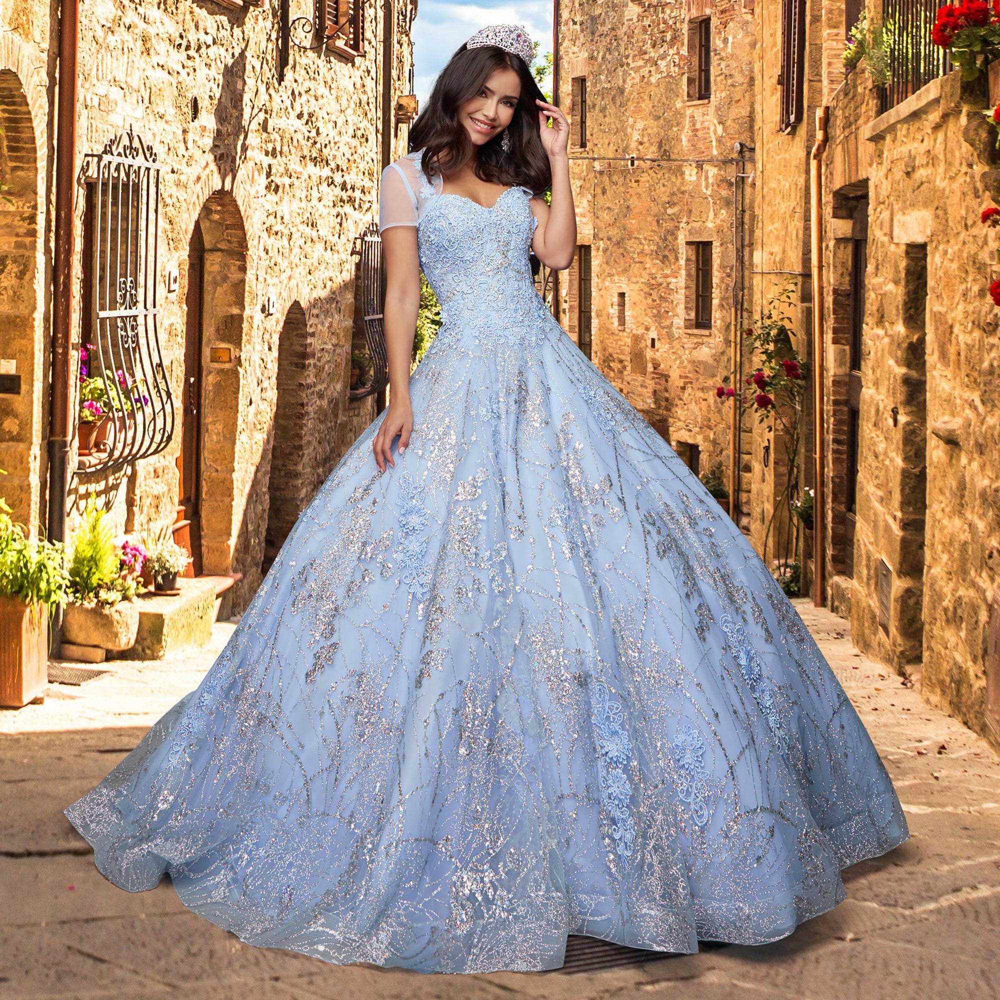 Quinceañera Sample Dress QY301