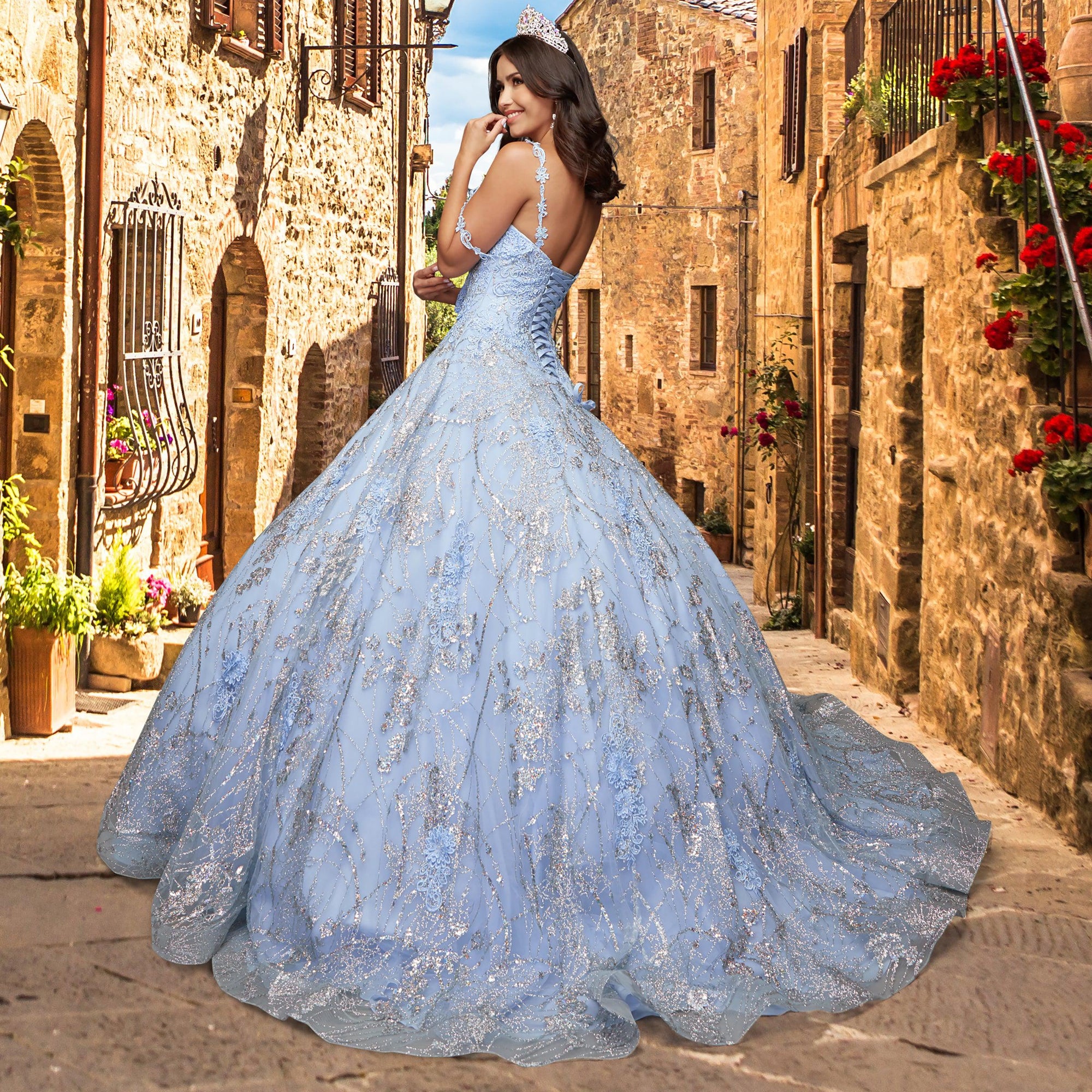 Quinceañera Sample Dress QY301