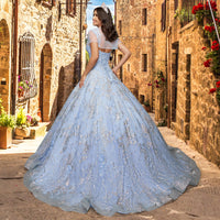 Quinceañera Sample Dress QY301