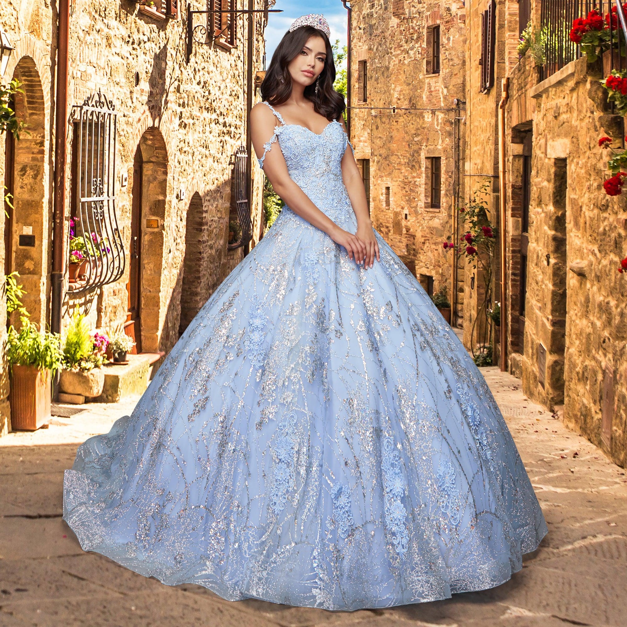 Quinceañera Sample Dress QY301