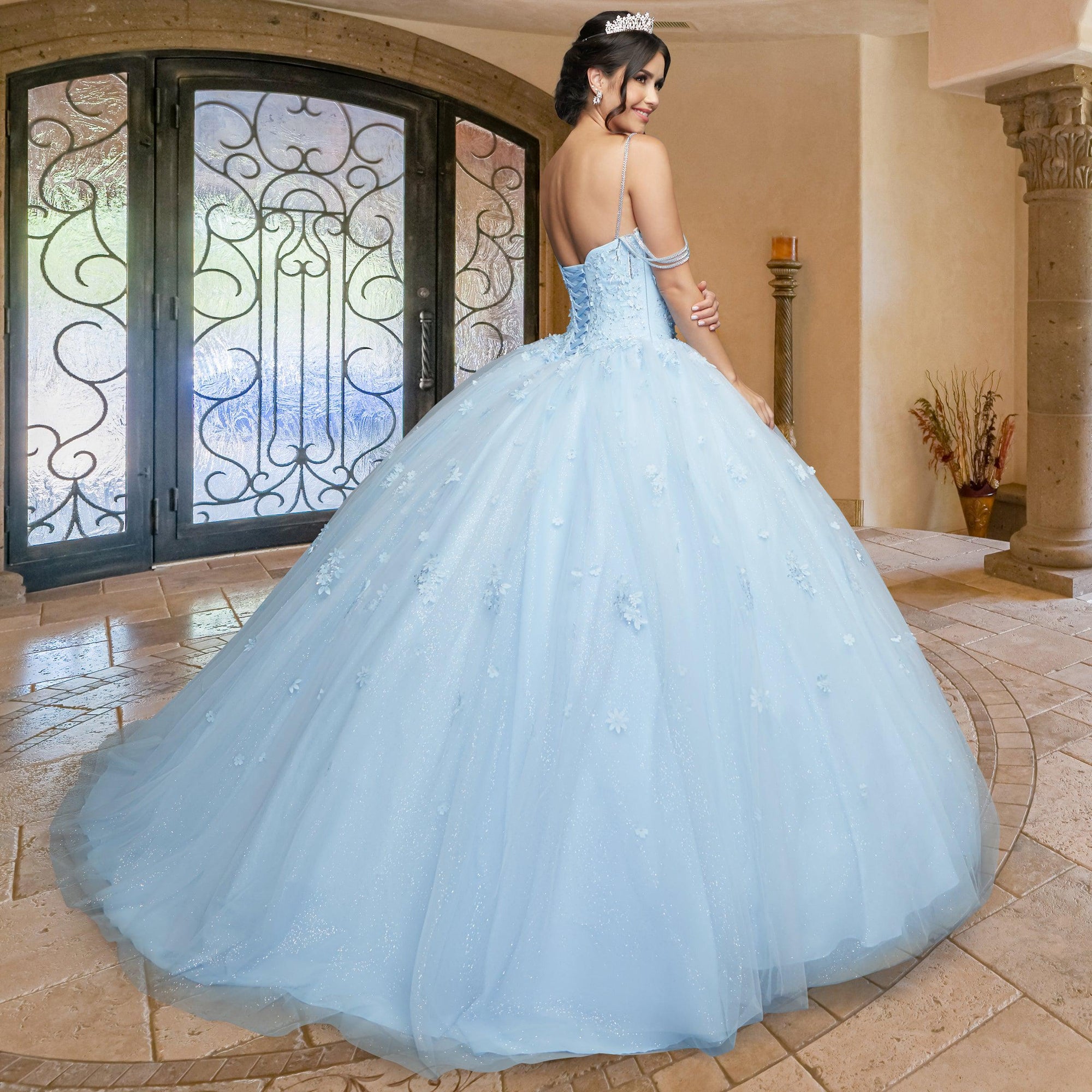 Quinceañera Sample Dress QX405