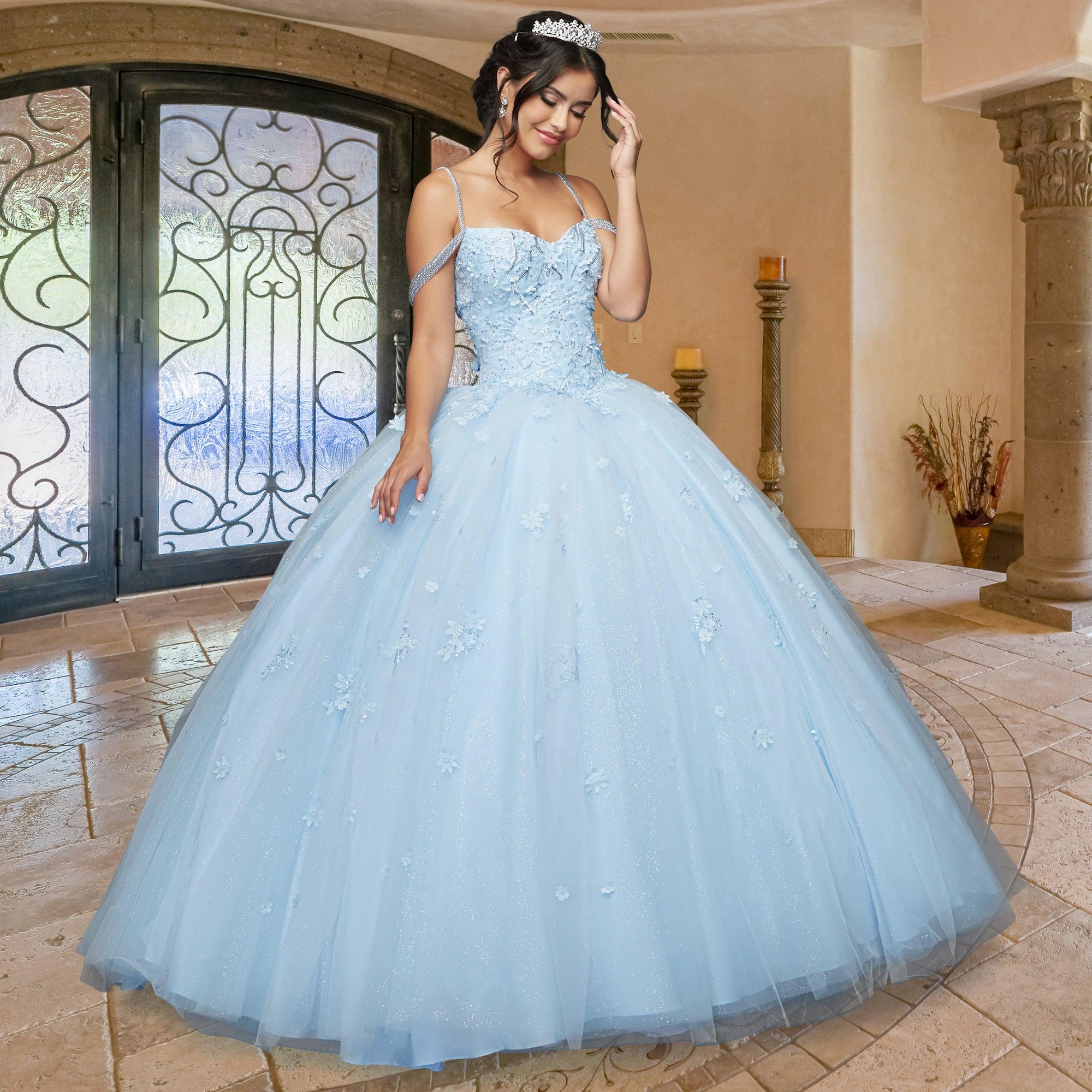 Quinceañera Sample Dress QX405