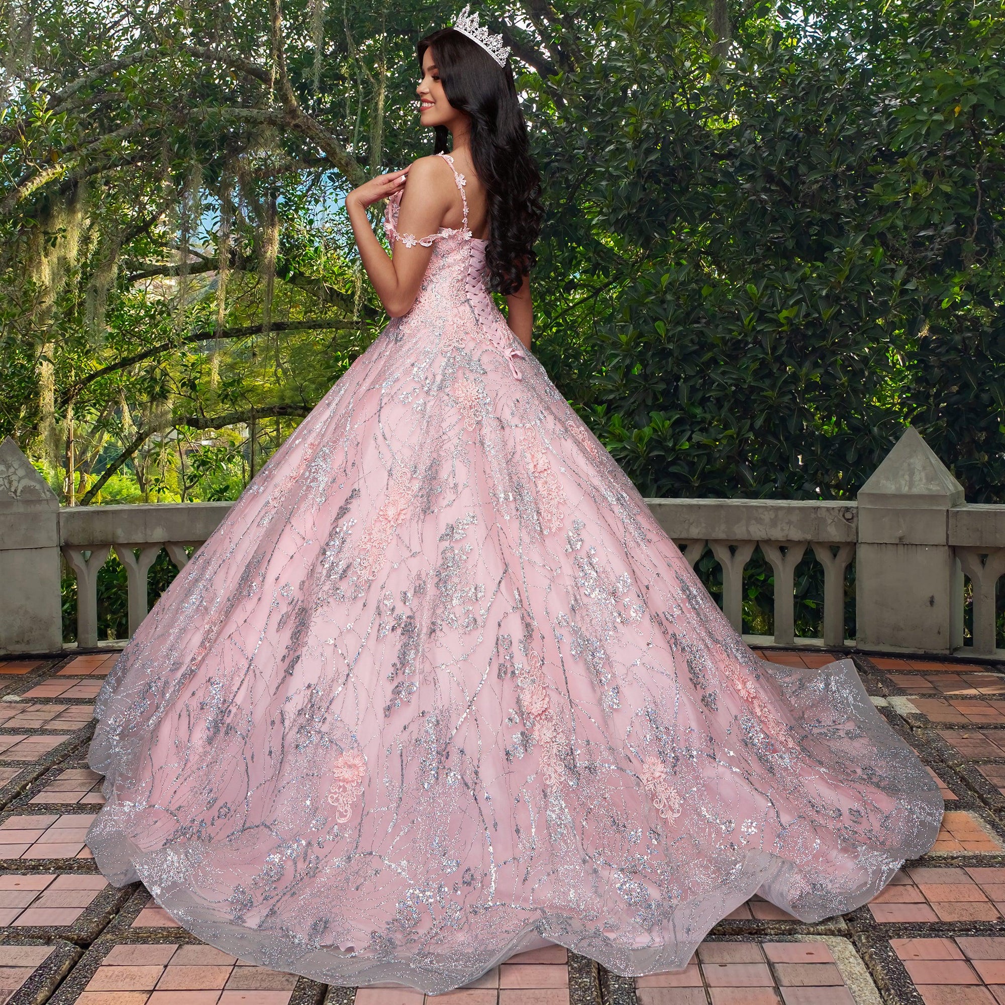 Quinceañera Sample Dress QY301