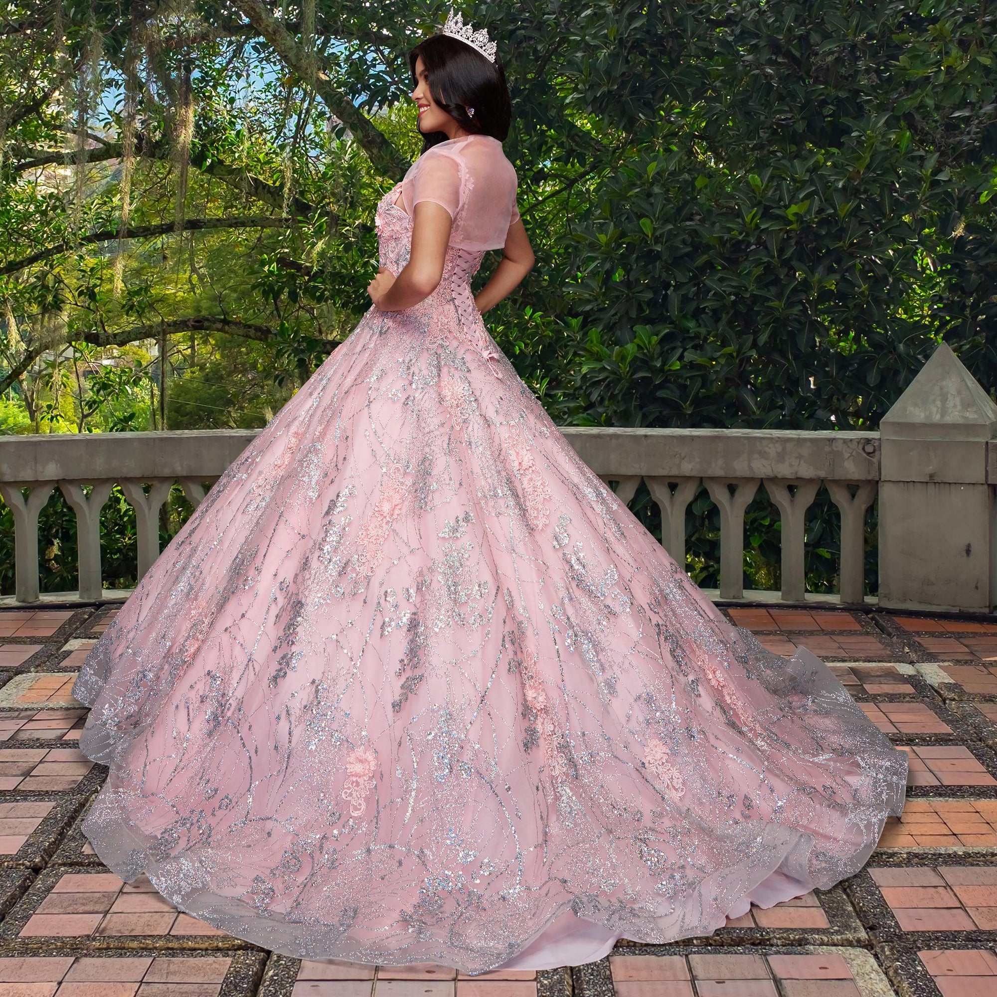 Quinceañera Sample Dress QY301