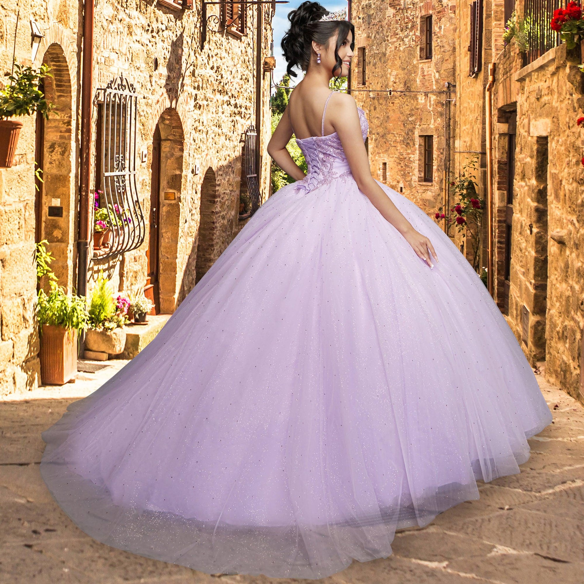 Quinceañera Sample Dress QX408