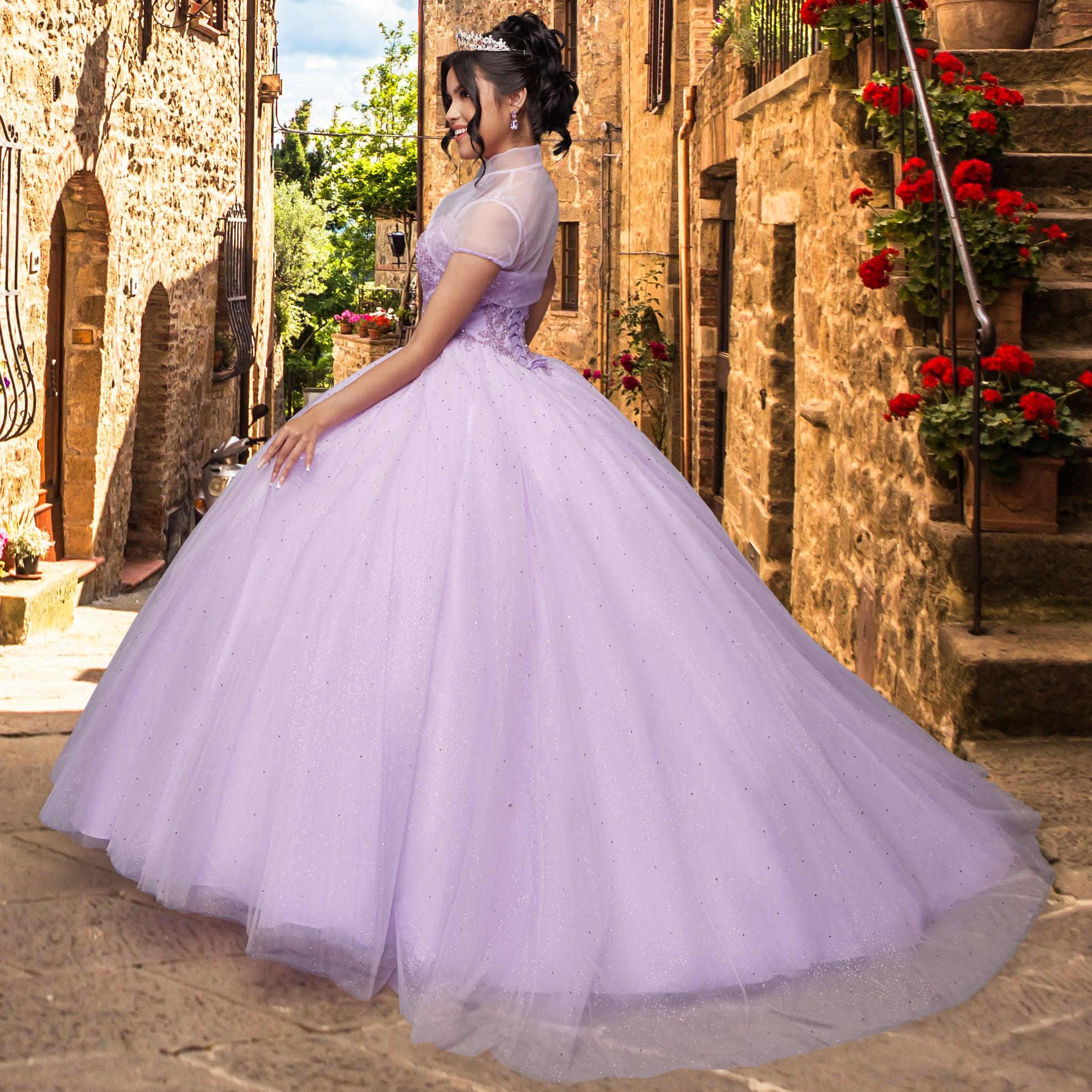 Quinceañera Sample Dress QX408