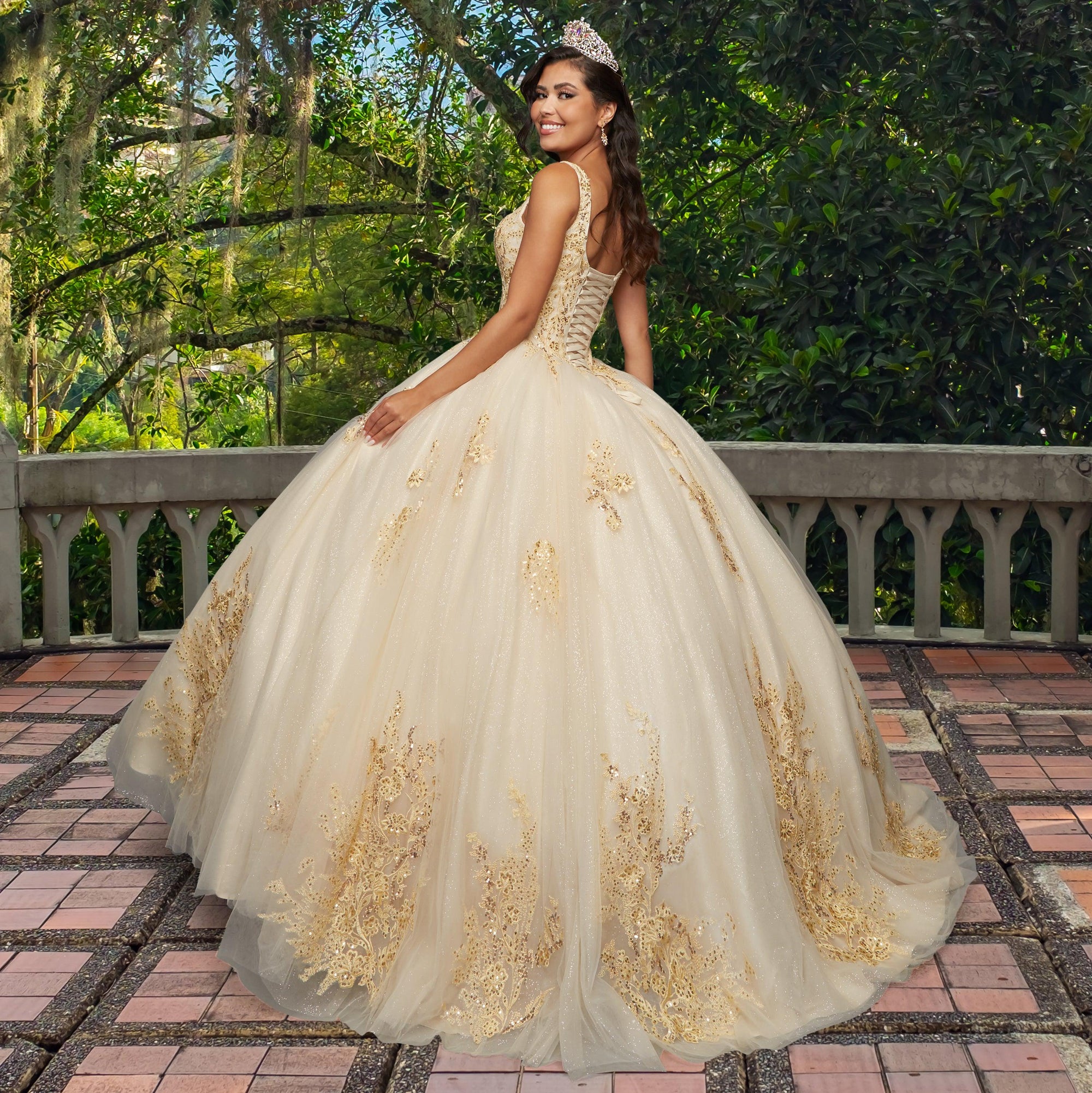 Quinceañera Sample Dress QY310