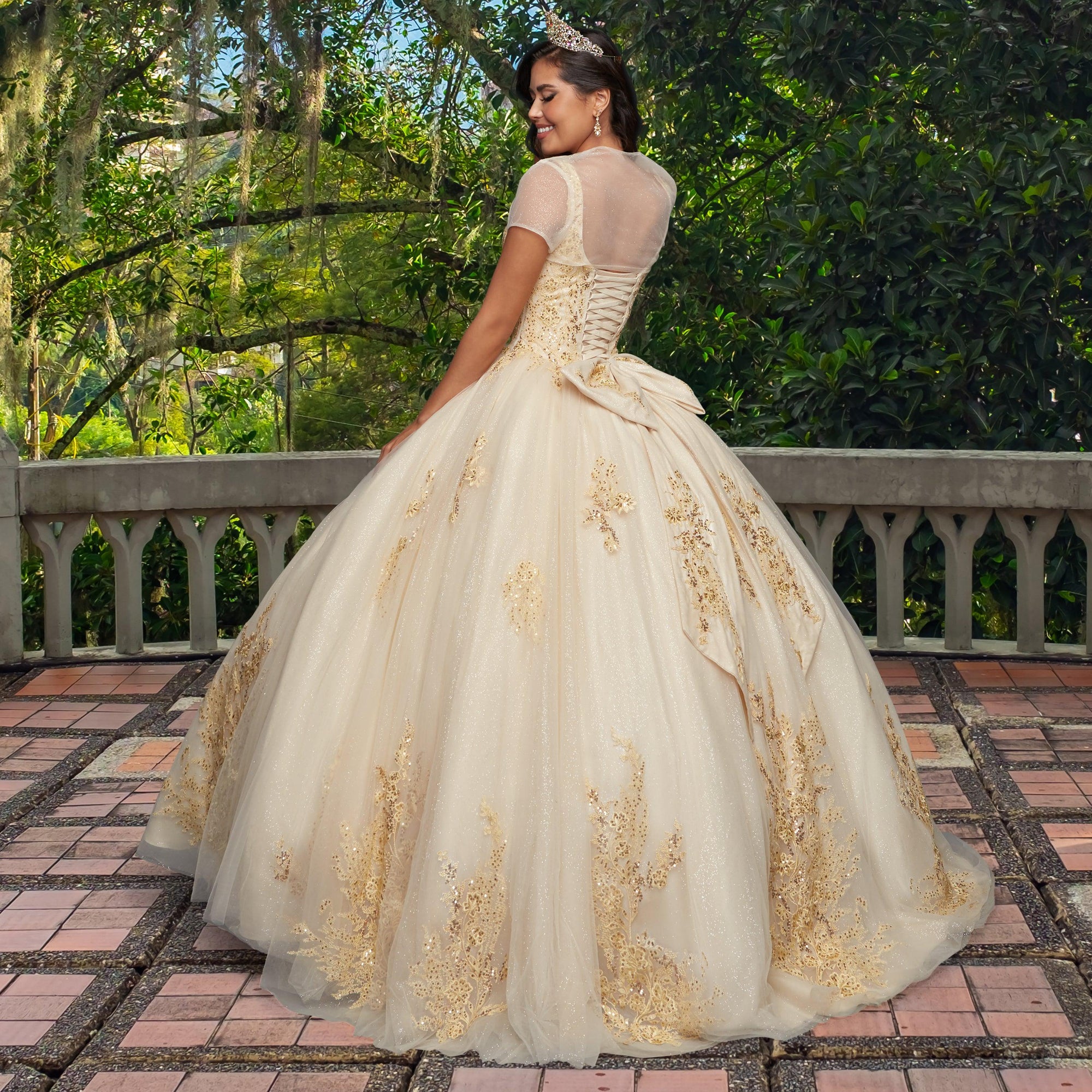 Quinceañera Sample Dress QY310