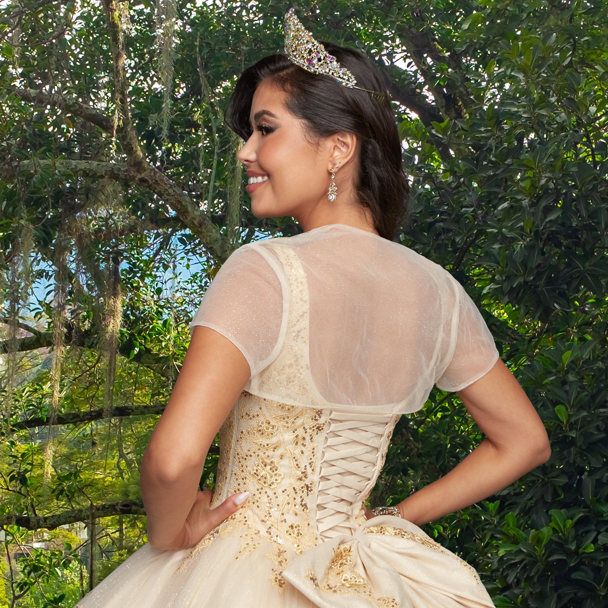 Quinceañera Sample Dress QY310