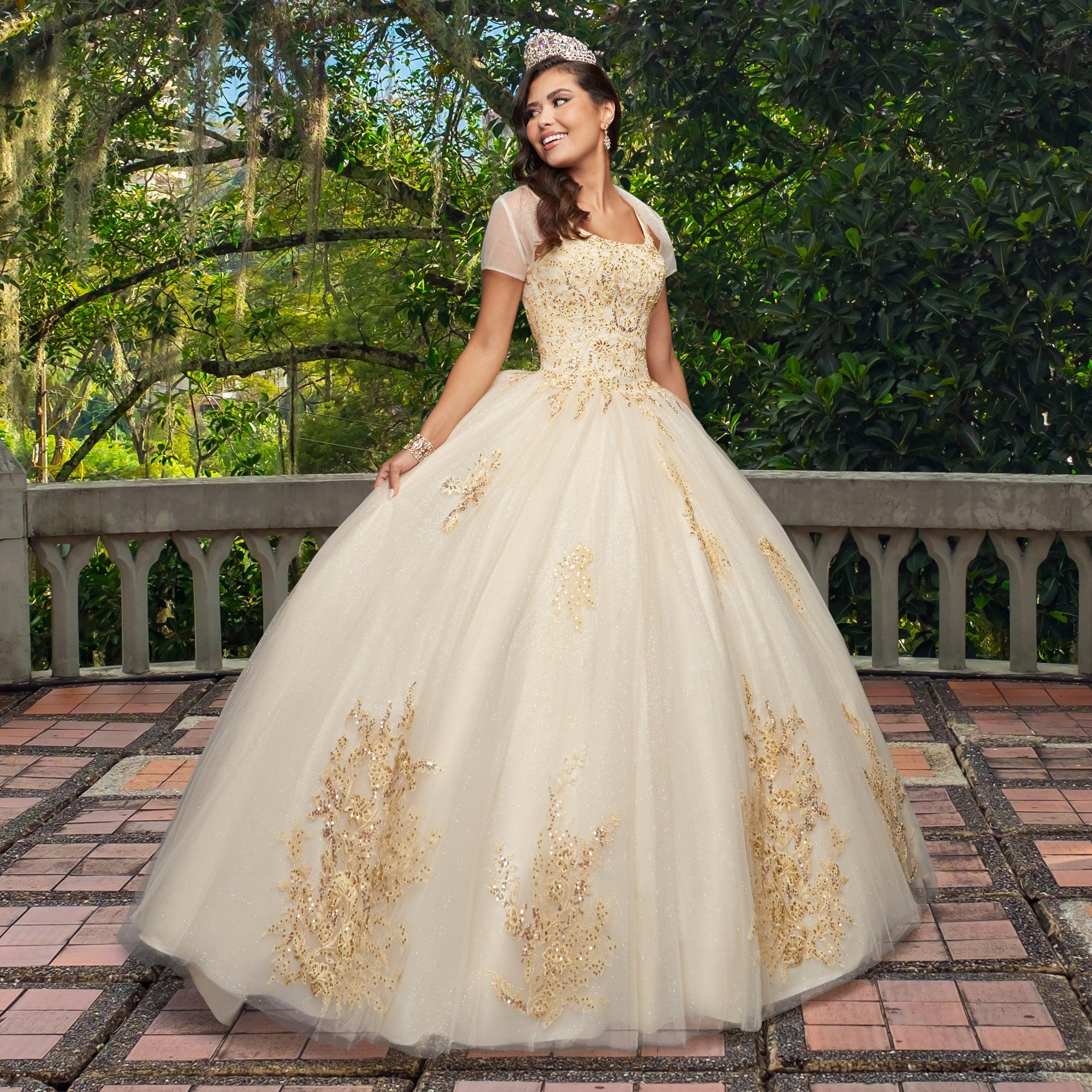 Quinceañera Sample Dress QY310