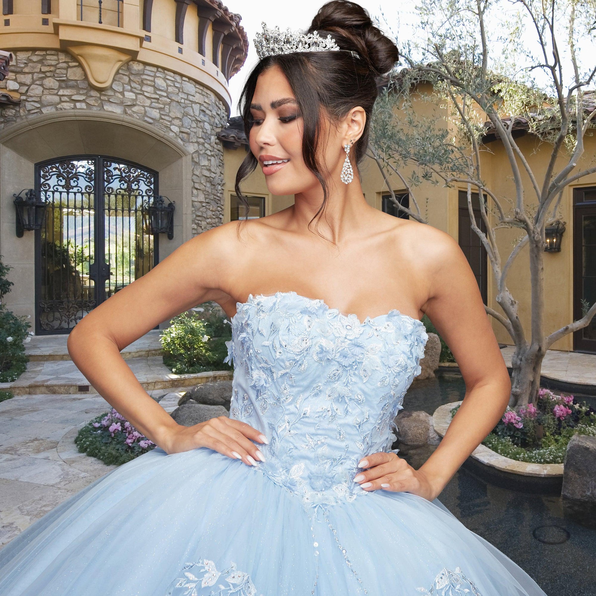 Quinceañera Sample Dress QX403